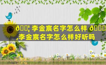 🐦 李金宸名字怎么样 🐎 ,李金宸名字怎么样好听吗